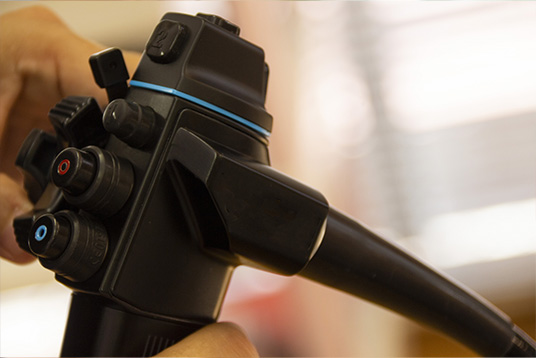 特長:消化器内科